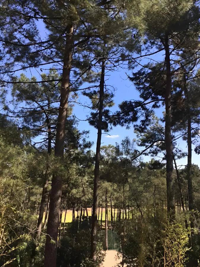 Un Nid Dans La Pinede Villa Lacanau Kültér fotó