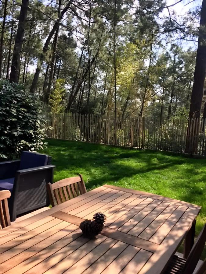 Un Nid Dans La Pinede Villa Lacanau Kültér fotó